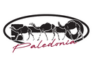 Logo of Paledonia featuring three camels in an oval design on a white background.