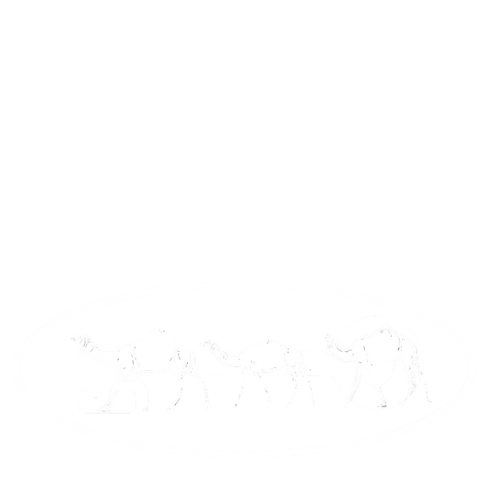 Paledonia
