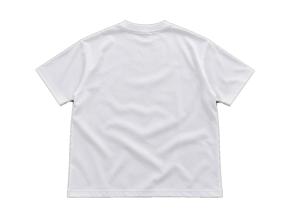 Paledonia bandaid back transparent background