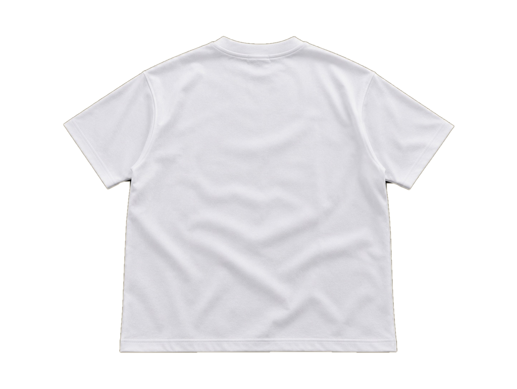 Paledonia bandaid back transparent background