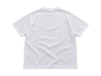 Paledonia bandaid back transparent background