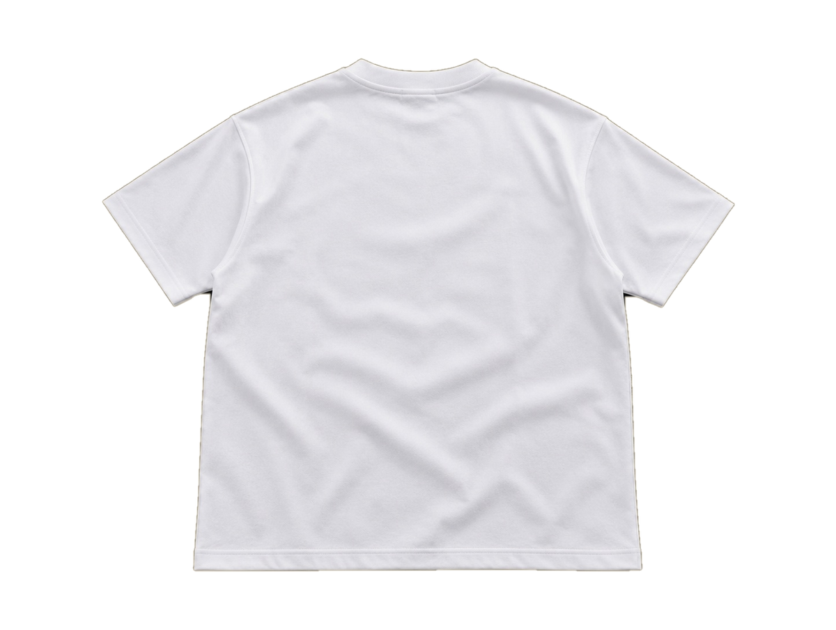Paledonia bandaid back transparent background